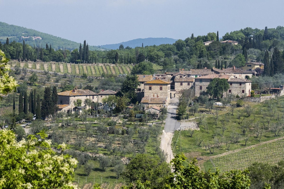 Winery Castello di Ama, Chianti region, Tuscany, Italy.