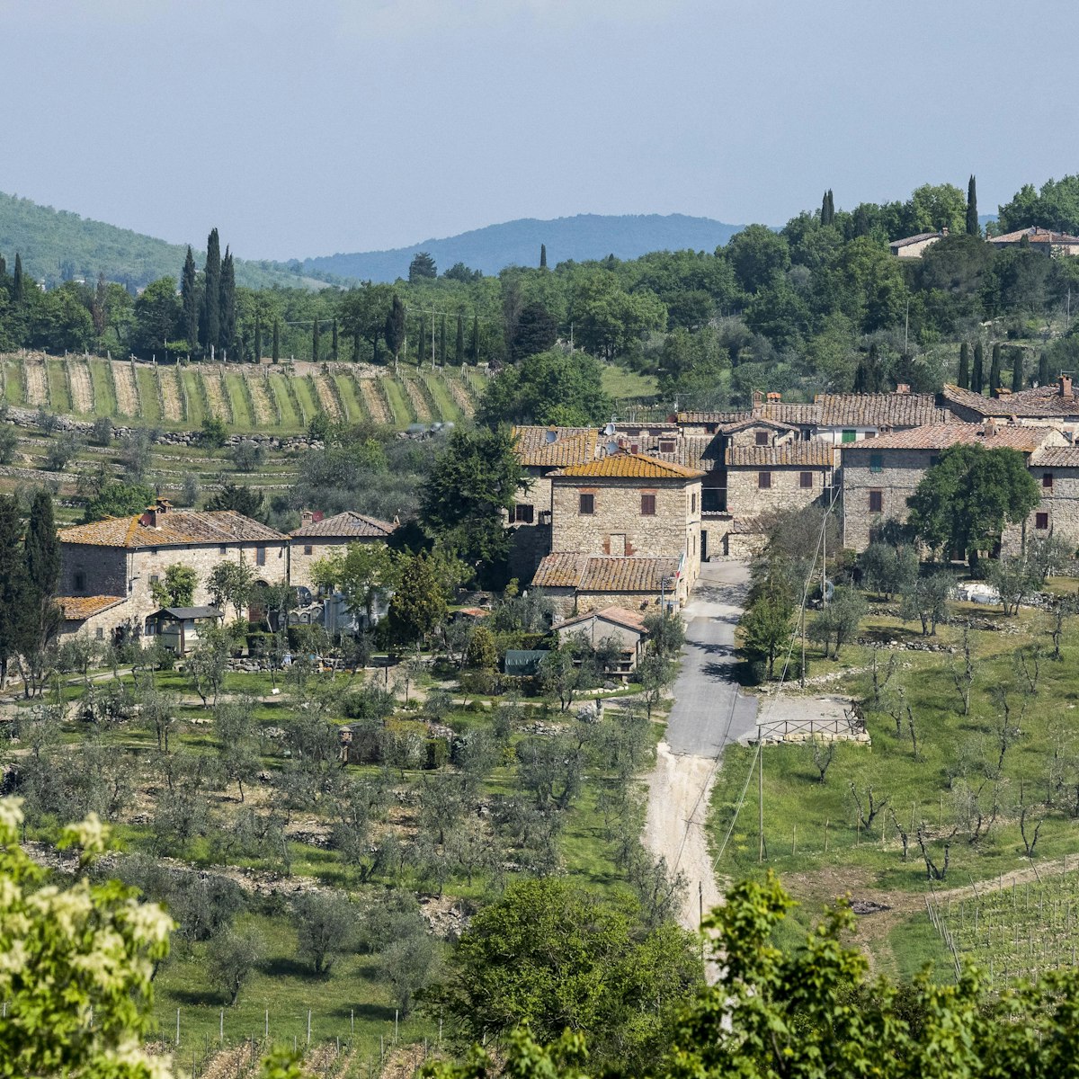 Winery Castello di Ama, Chianti region, Tuscany, Italy.