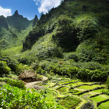 Limahuli garden in Kauai, Hawaii.
