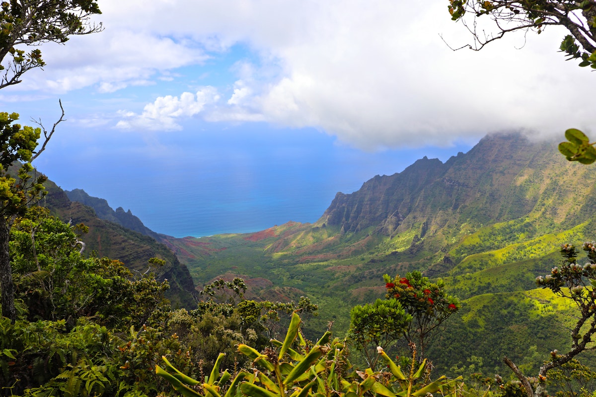 View of the Napali Coast, Pu'u O Kila overlook, Waimea Canyon State Park, Koke'e State Park, Kauai, Hawaii