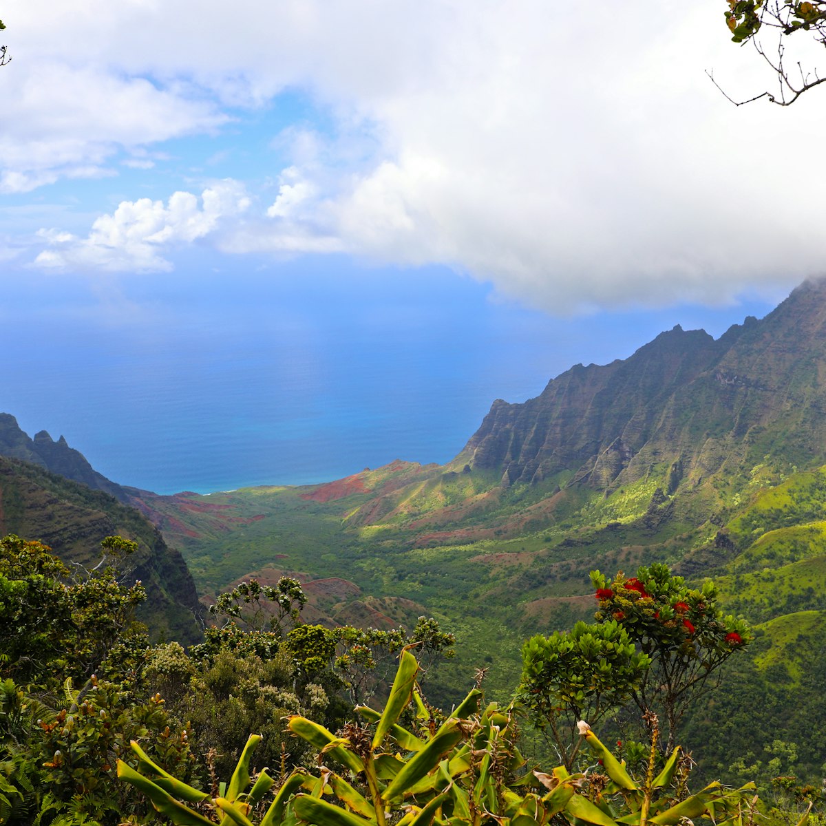 View of the Napali Coast, Pu'u O Kila overlook, Waimea Canyon State Park, Koke'e State Park, Kauai, Hawaii