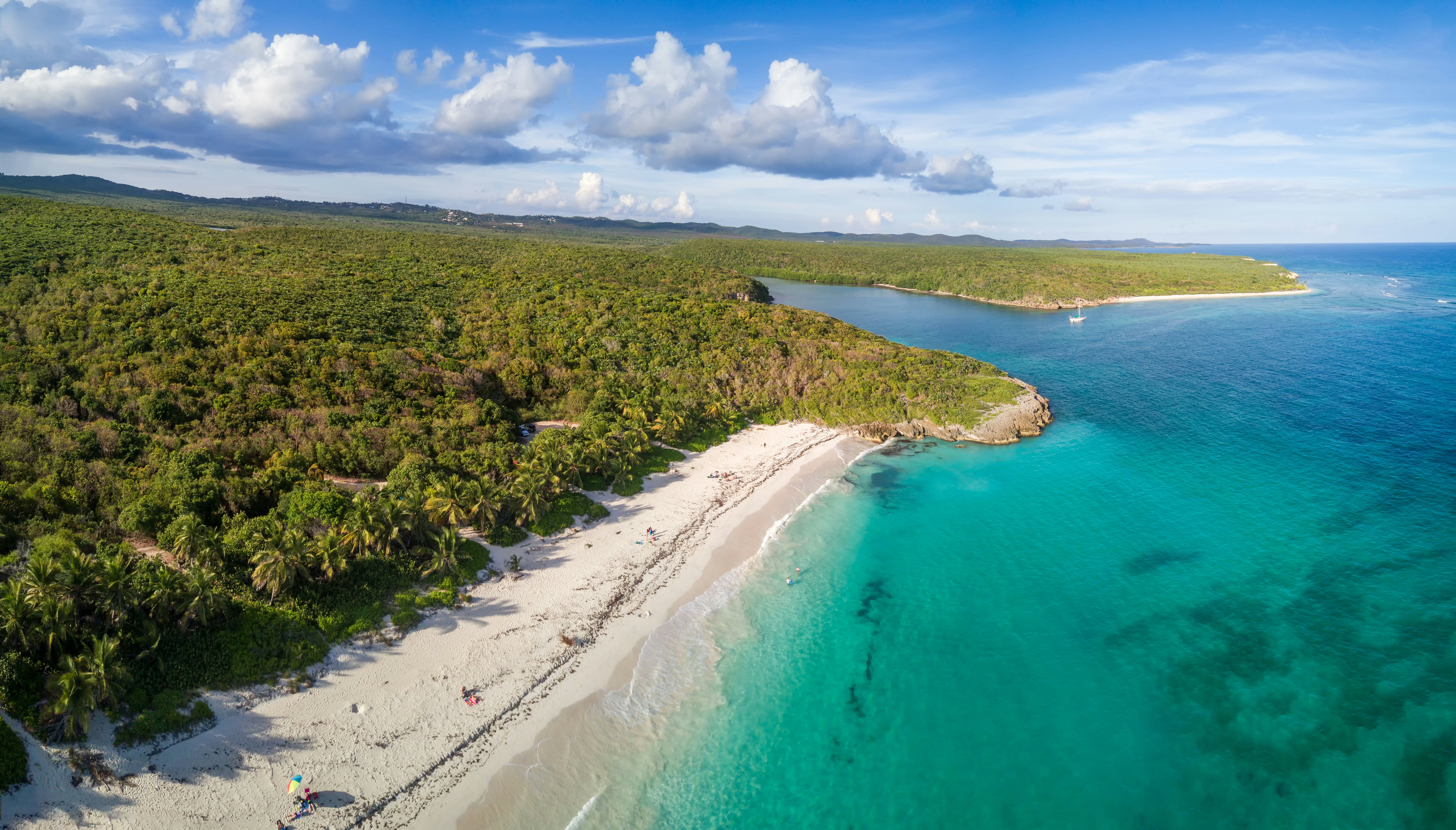 Aerial view of a sandy coastline with the ocean to the right and forest to the left and in the distance on a sunny day.