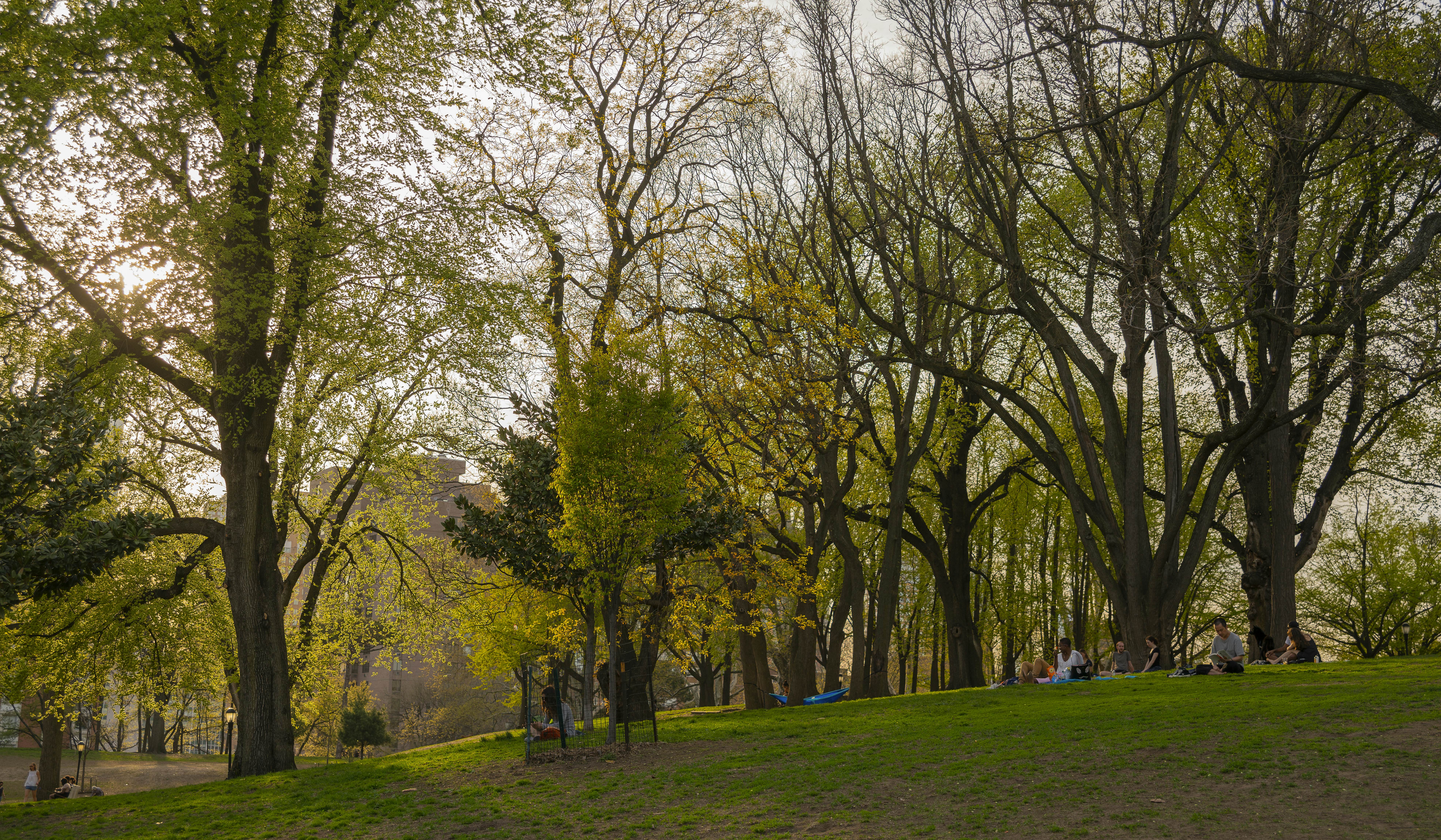Fort Greene Park, Brooklyn, New York.