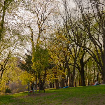 Fort Greene Park, Brooklyn, New York.