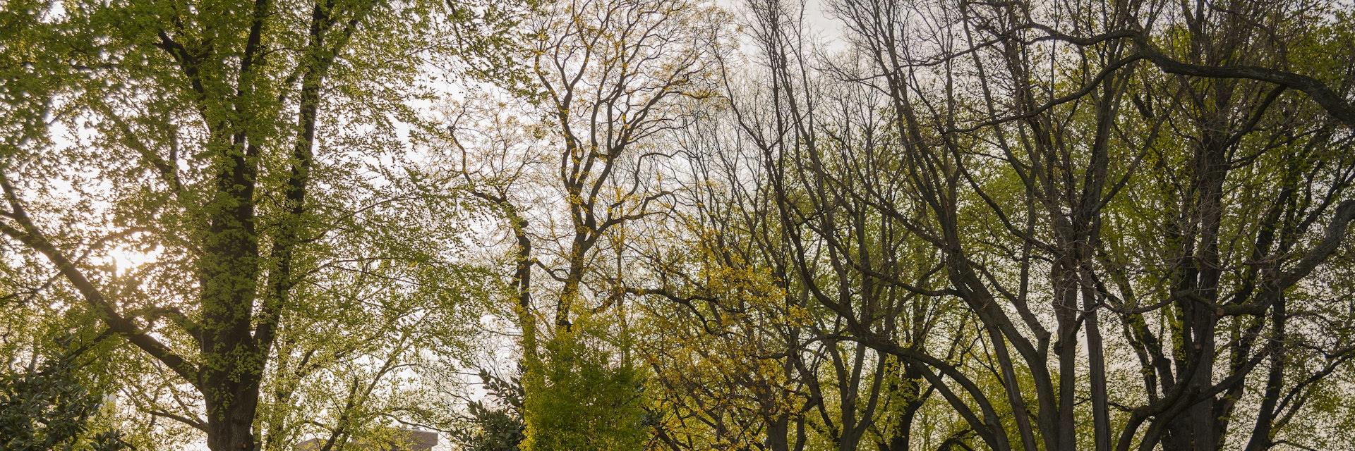 Fort Greene Park, Brooklyn, New York.