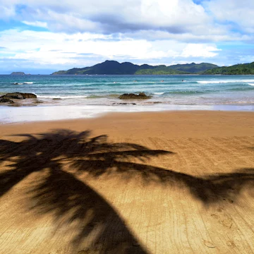 Shadows of palm trees on Duli beach, a surfing spot at El Nido.
1130462641
Nature Travel Destinations Horizontal Outdoors Southeast Asia Philippines Blue Rippled Tropical Climate Wave - Water Surf Landscape - Scenery Palm Tree Island Sand Rock - Object Day Shadow Beach South China Sea Idyllic Palawan Coastline Incidental People Cloudscape Photography Developing Countries El Nido duli beach