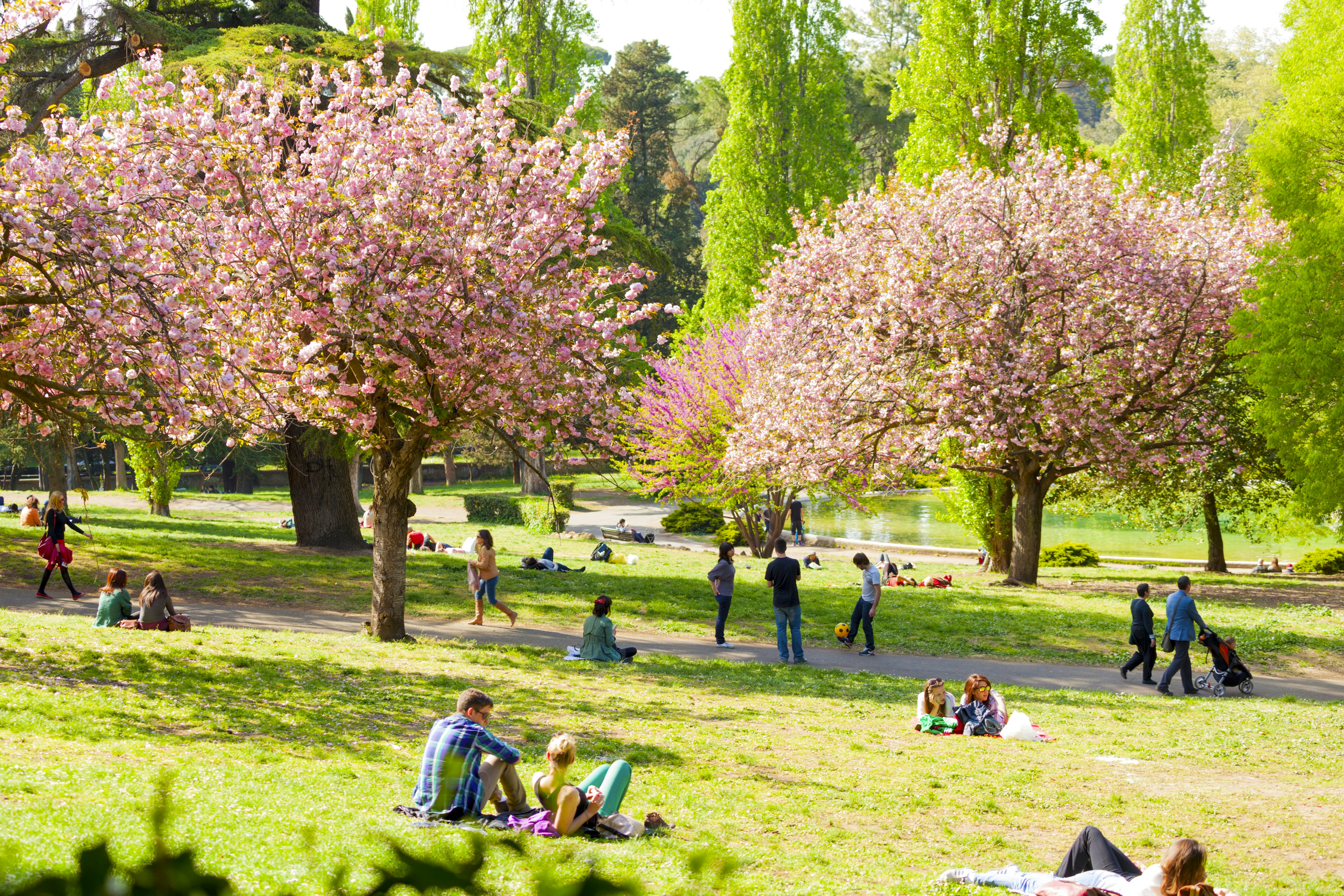 People relaxing on the grass on a sunny day in Villa Borghese Gardens