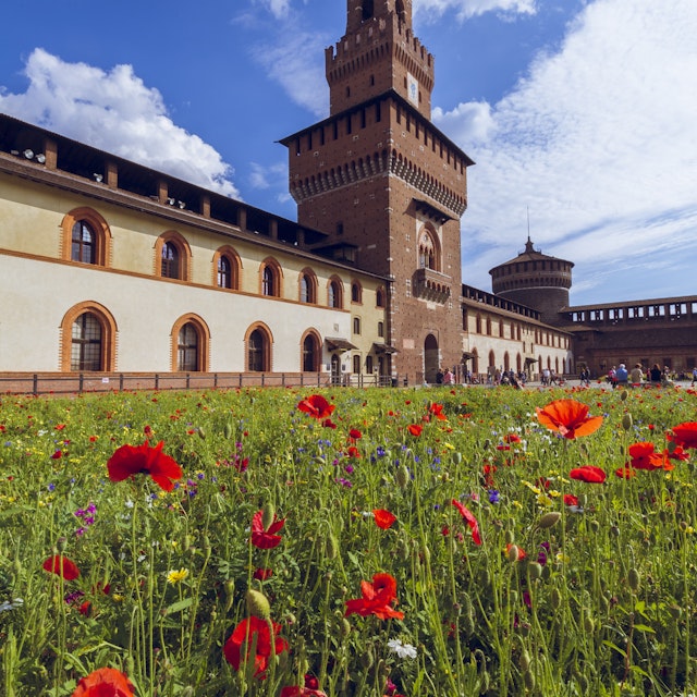 594442556
Architectural Feature; Architecture; Building Exterior; Business Finance and Industry; Castello Sforzesco; Castle; City; City Street; Cityscape; Color Image; Construction Industry; Day; Europe; European Culture; Famous Place; Flower; International Landmark; Italian Culture; Italy; Lombardy; Milan; Monument; Museum; National Landmark; No People; Old Town; Outdoors; Photography; Poppy; Southern Europe; Springtime; Tourism; Tower; Travel Destinations; Vacations; Vertical;
Sforza Castle, Milan, Lombardy, Italy.