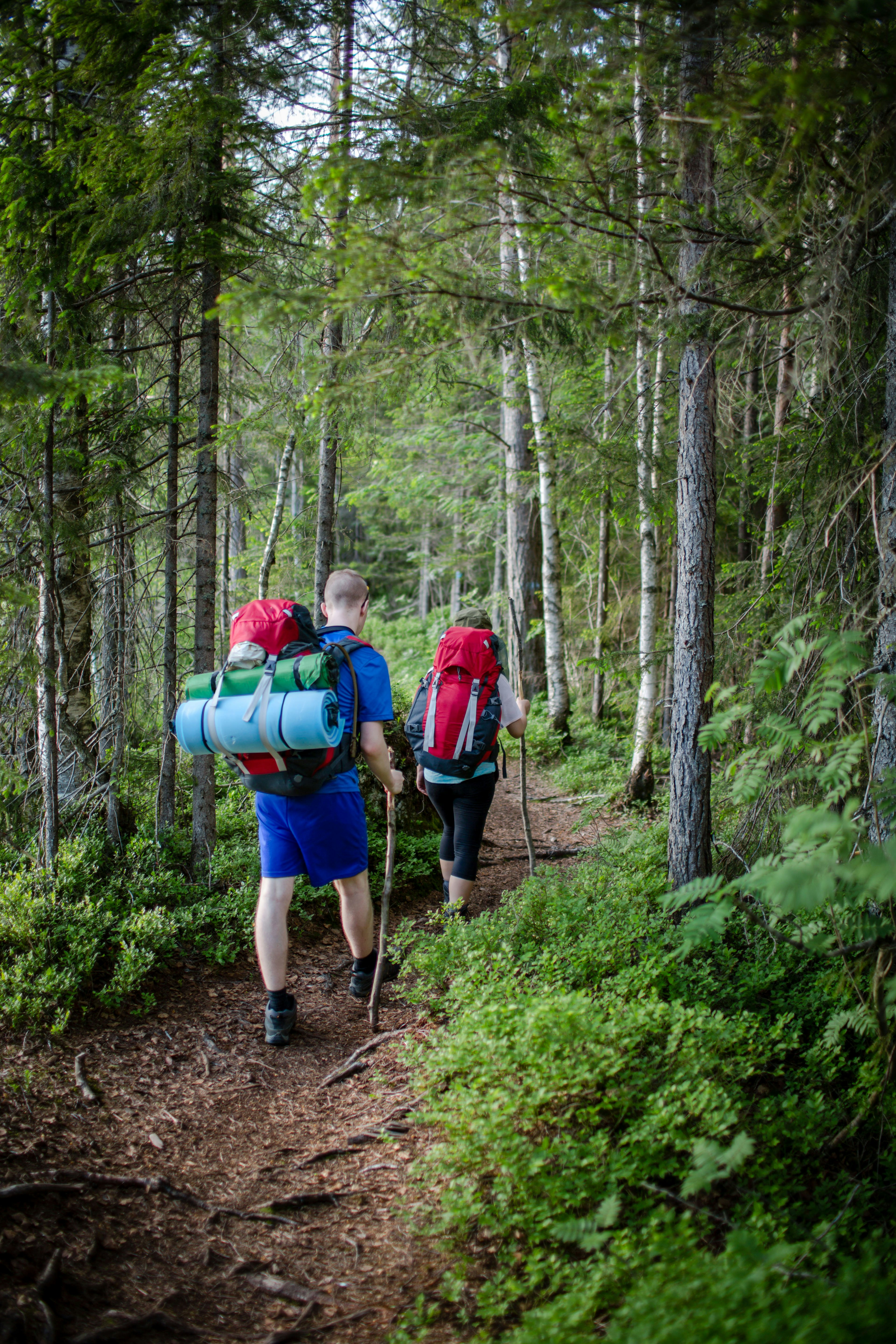 Walking on a narrow path in Nordmarka, Oslo, Norway.