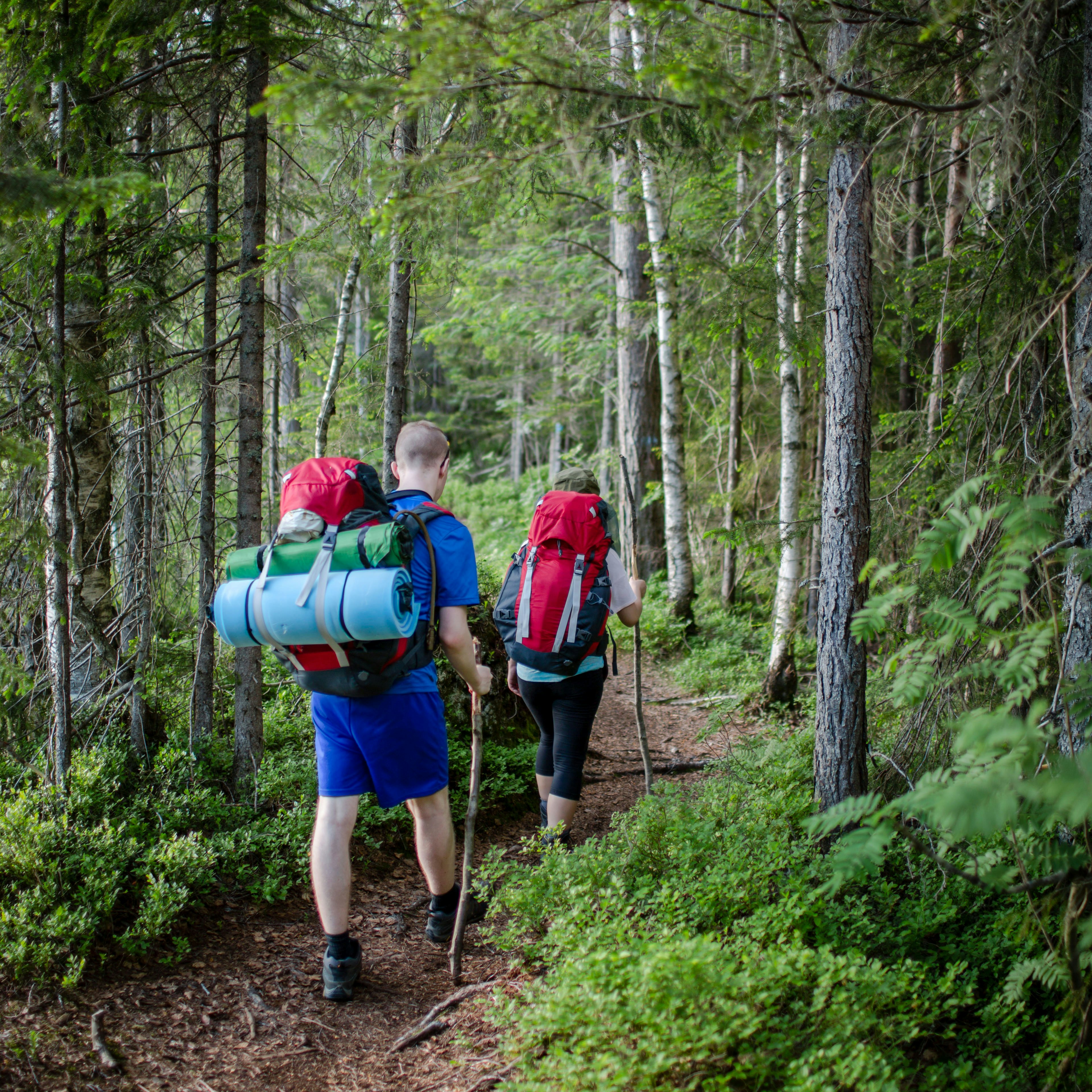 Walking on a narrow path in Nordmarka, Oslo, Norway.
