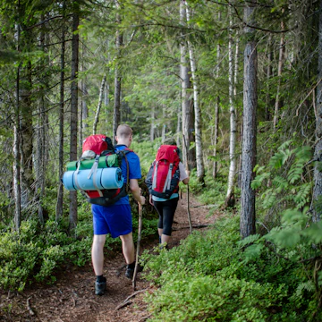Walking on a narrow path in Nordmarka, Oslo, Norway.