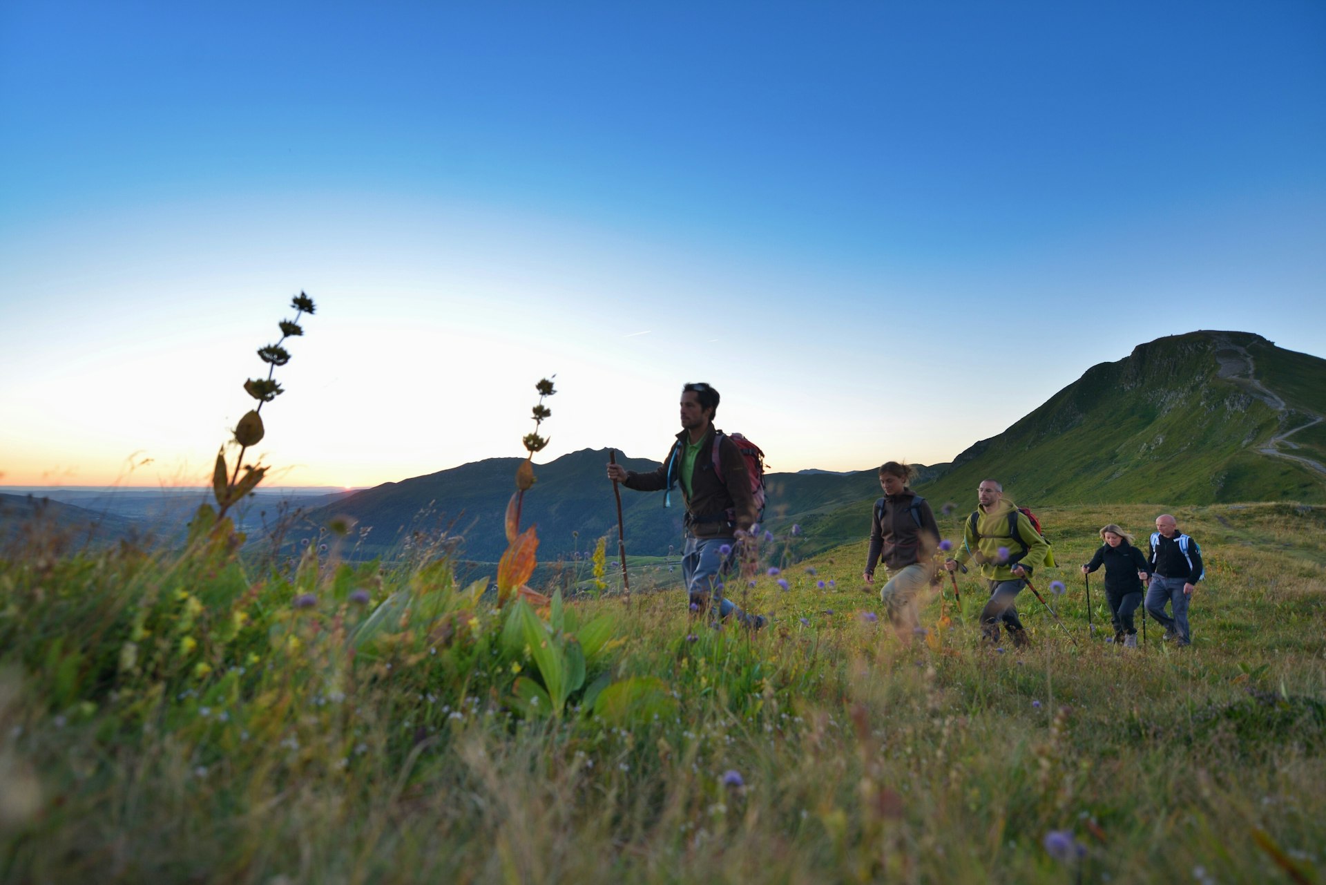 Hikers walk through wildflowers in Puy Mary