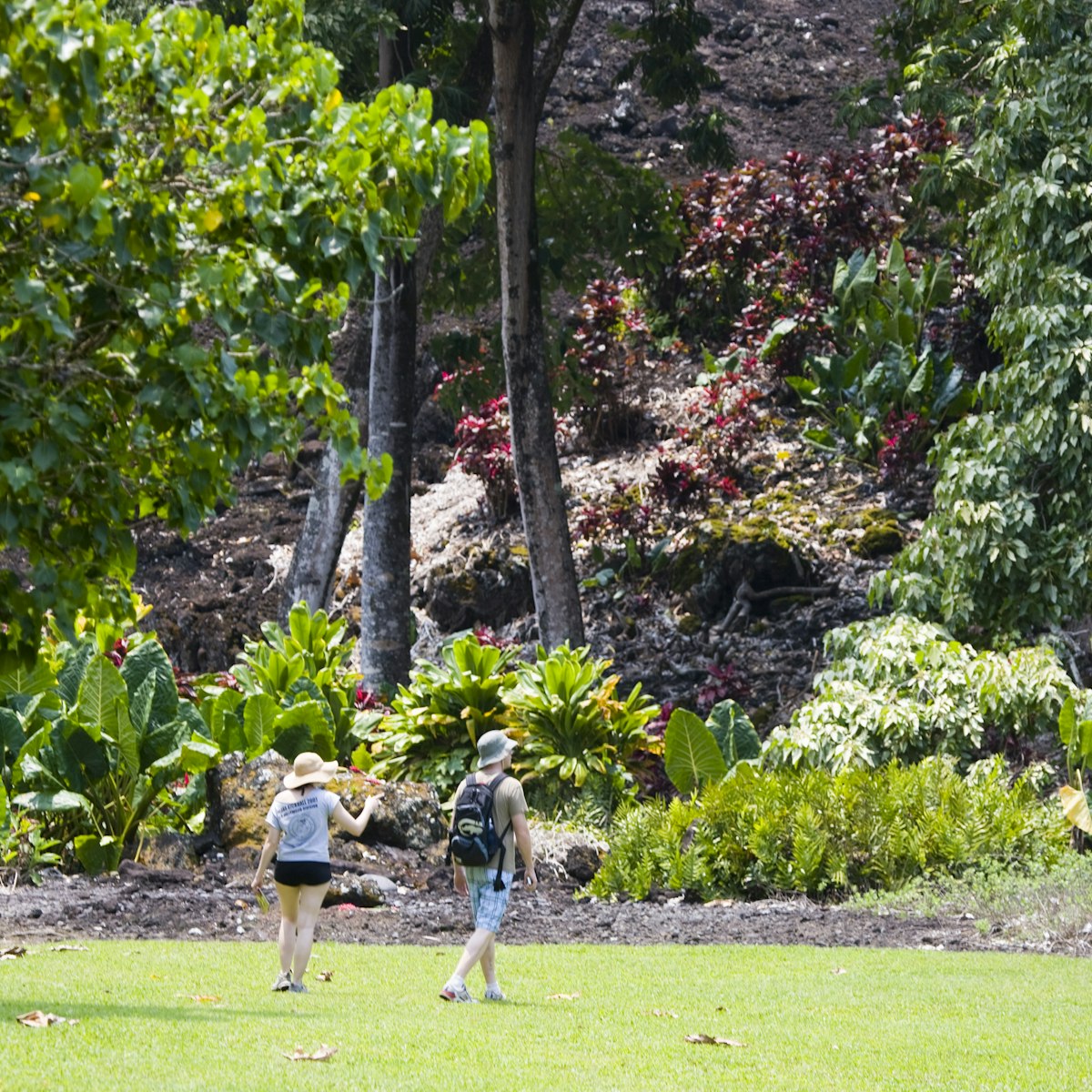 26462-334
Hana, Hawaii, Maui, North America, United States
Kahanu Gardens,  Hana, East Maui.