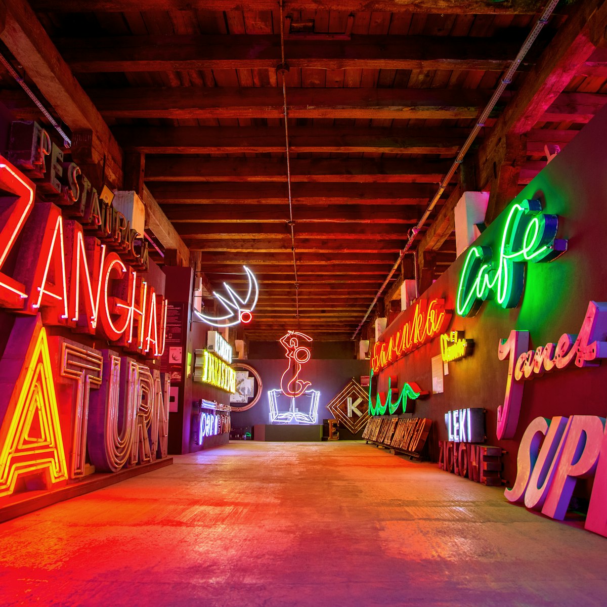 Neon Museum