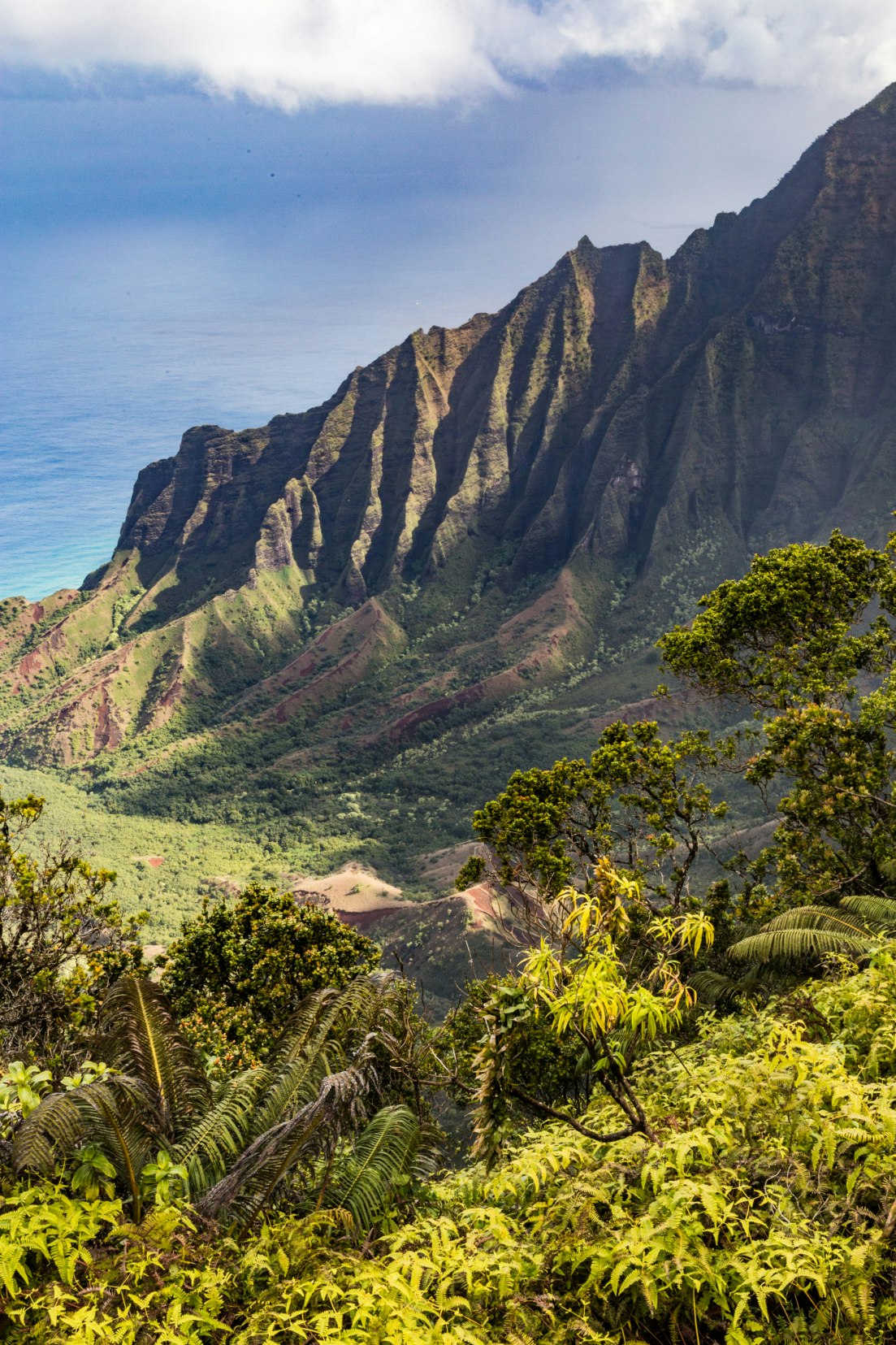 canyon, hawaii, kauai, landscape, lookout, valley, waimea canyon
Kalalau Lookout, Kauai.