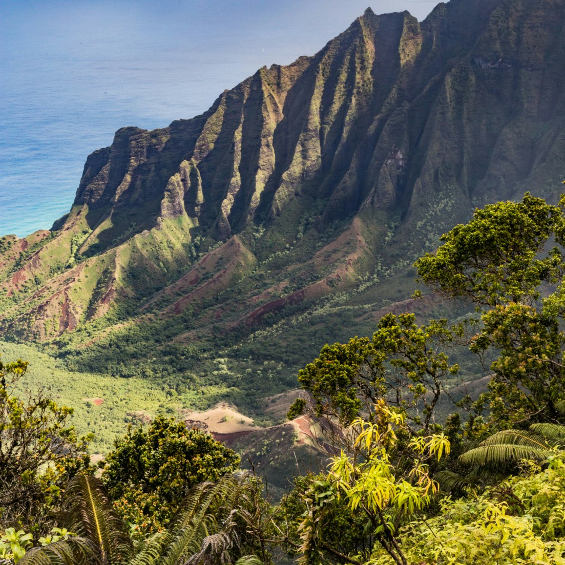 canyon, hawaii, kauai, landscape, lookout, valley, waimea canyon
Kalalau Lookout, Kauai.