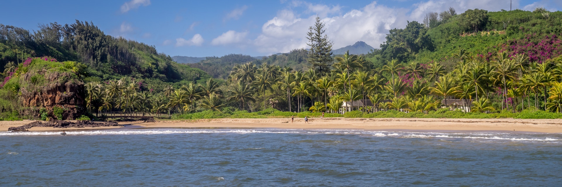 Panoramic view of McBryde Gardens on Kauai. This was the former summer home of the queen of Hawaii. ; Shutterstock ID 603442910; purchase_order: 65050; job: ; client: ; other:
603442910