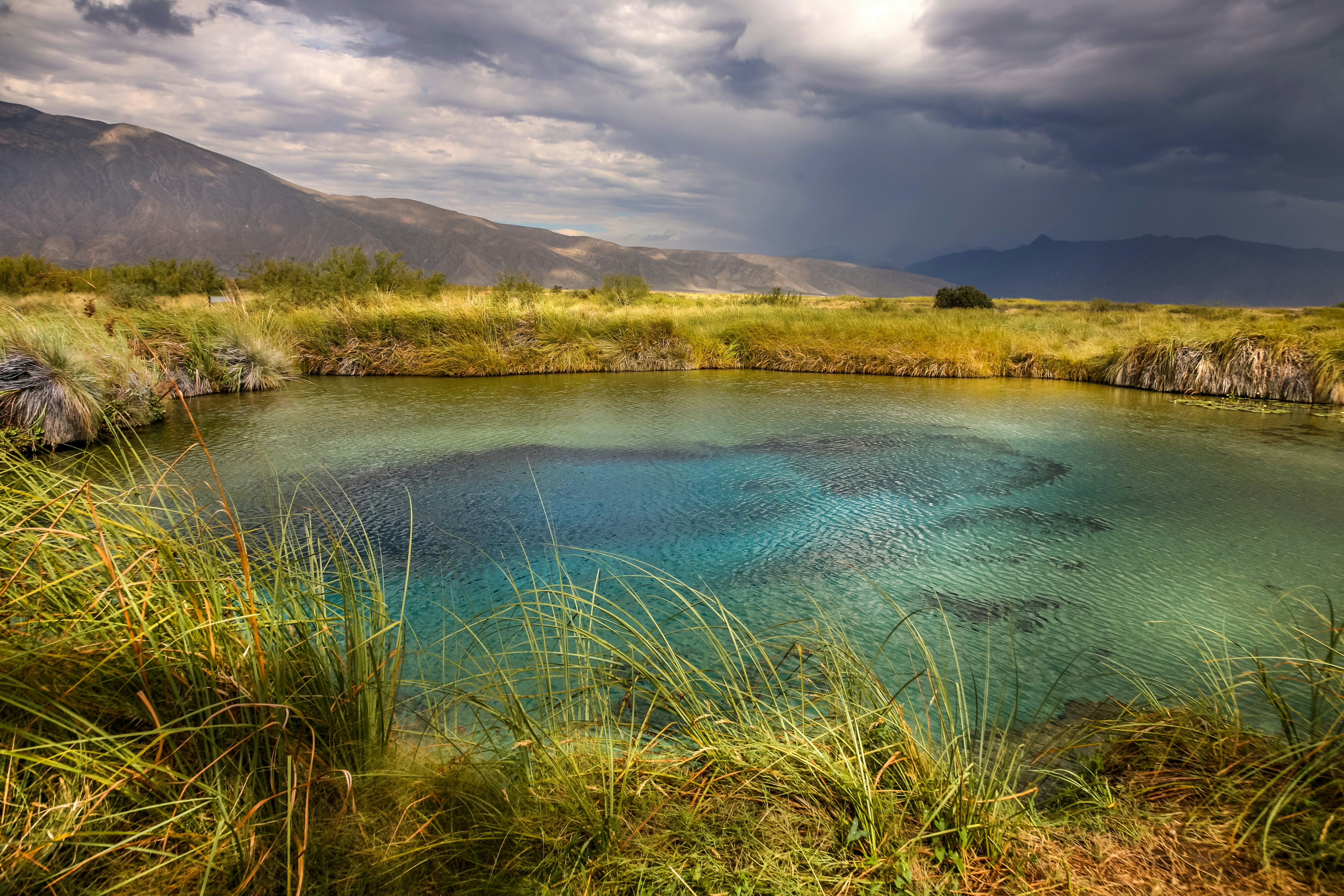 Poza Azul in the World Biosphere Reserve of Cuatro Cienegas, located at north of Mexico in the estate of Coahuila, a biological reserve with a small ecosystems with a unique fauna and flora around the world.