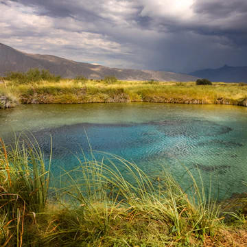 Poza Azul in the World Biosphere Reserve of Cuatro Cienegas, located at north of Mexico in the estate of Coahuila, a biological reserve with a small ecosystems with a unique fauna and flora around the world.