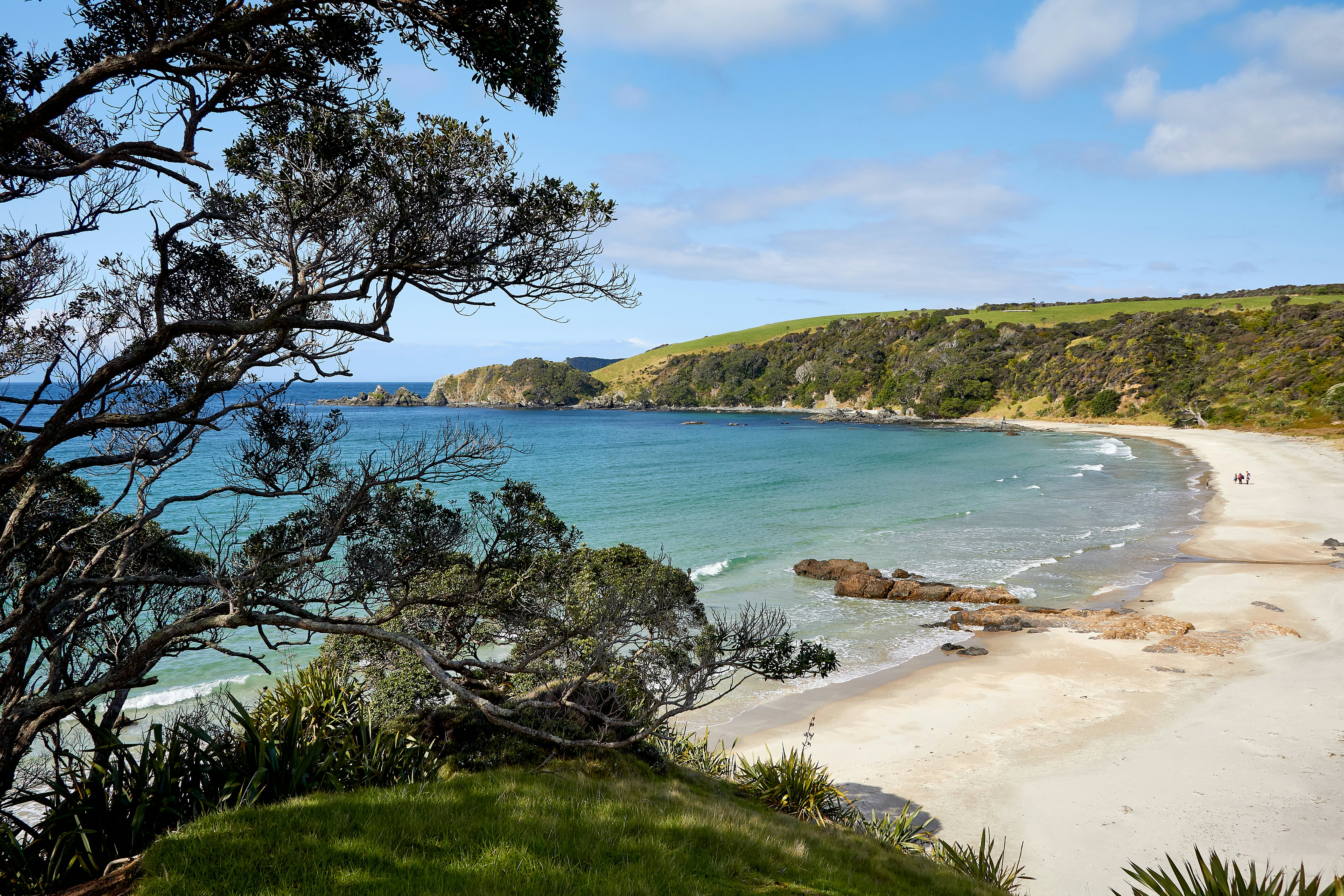 Tawharanui Regional Park.