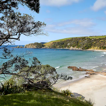 Tawharanui Regional Park.