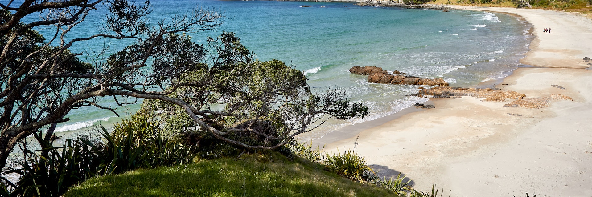 Tawharanui Regional Park.