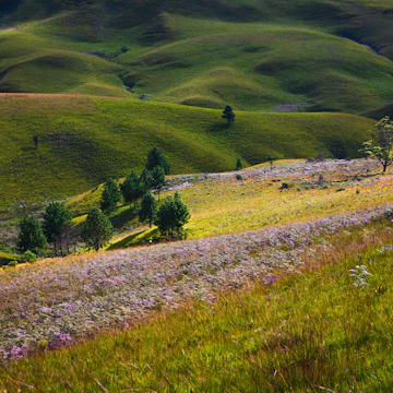 Kitulo National Park in Tanzania.