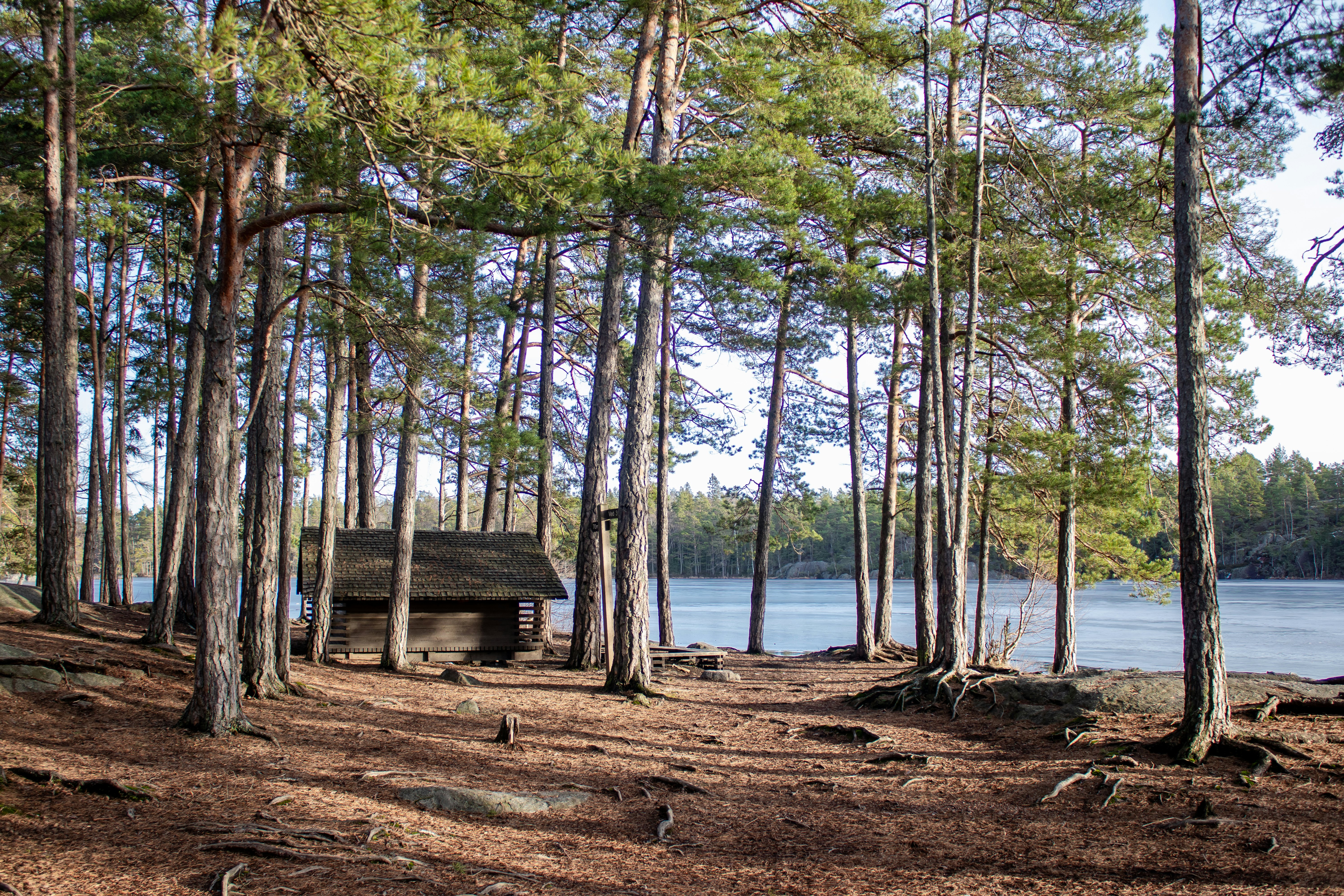Public shelter near frozen lake Årsjön in Tyresta national park on a winter morning.