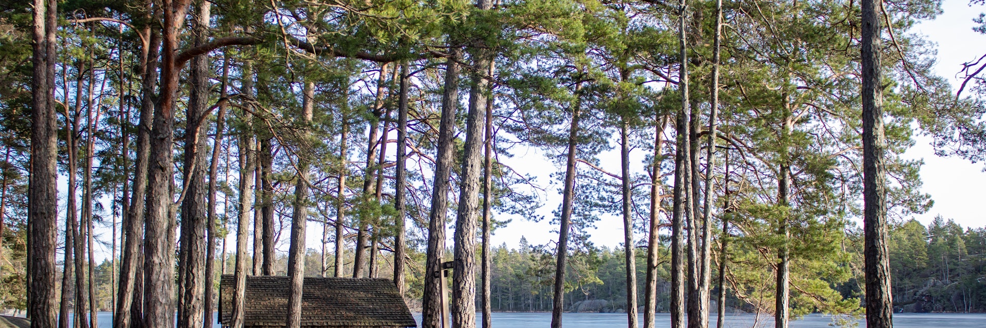 Public shelter near frozen lake Årsjön in Tyresta national park on a winter morning.