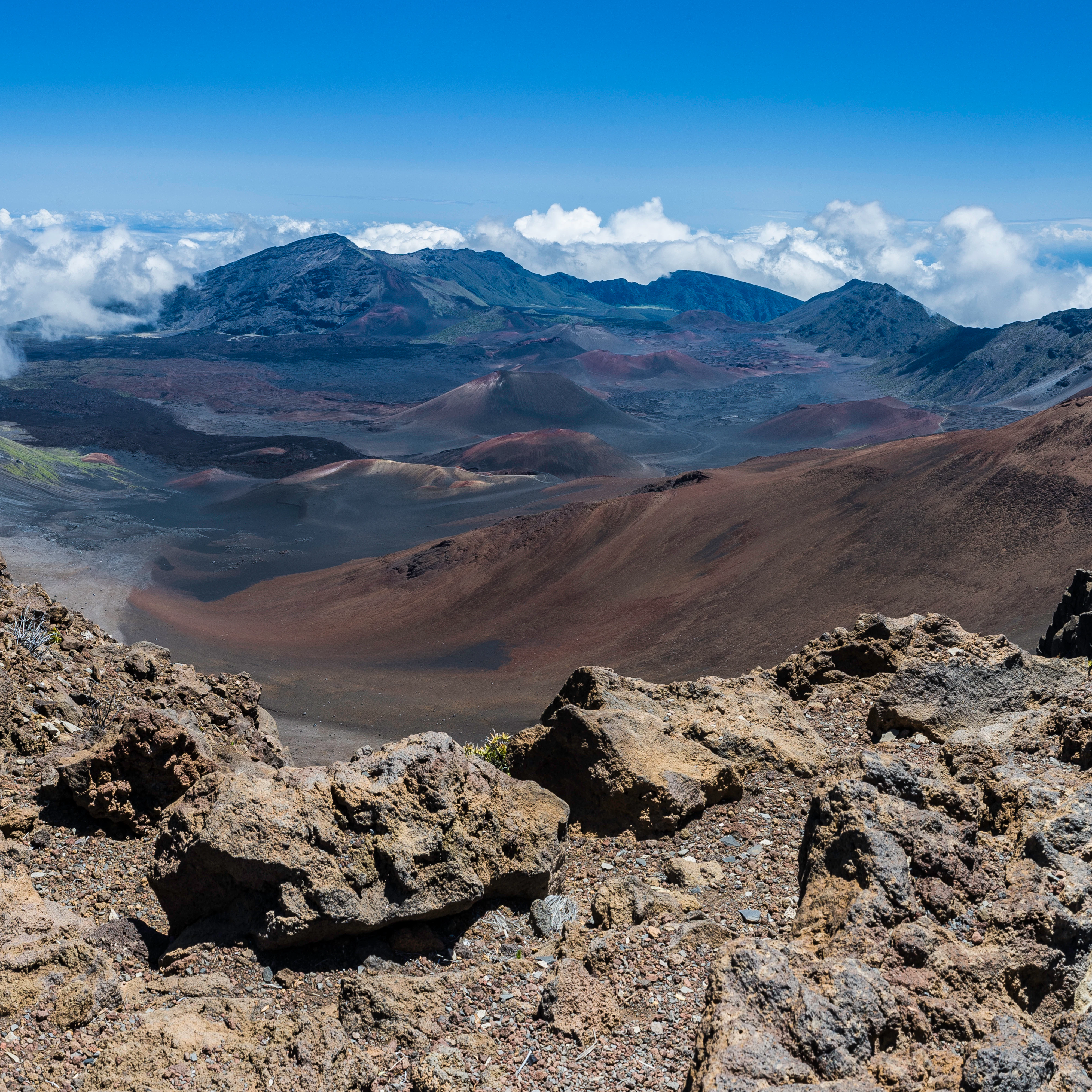 Haleakal; East Maui Volcano, a shield volcano that forms more than 75% of the Hawaiian Island of Maui. Haleakala National Park; Hawaiian Islands; Maui Island. Showing the erroded valley and cinder cones.
1300407001
haleakala valley, alpine aeolian zone, volcanic cones