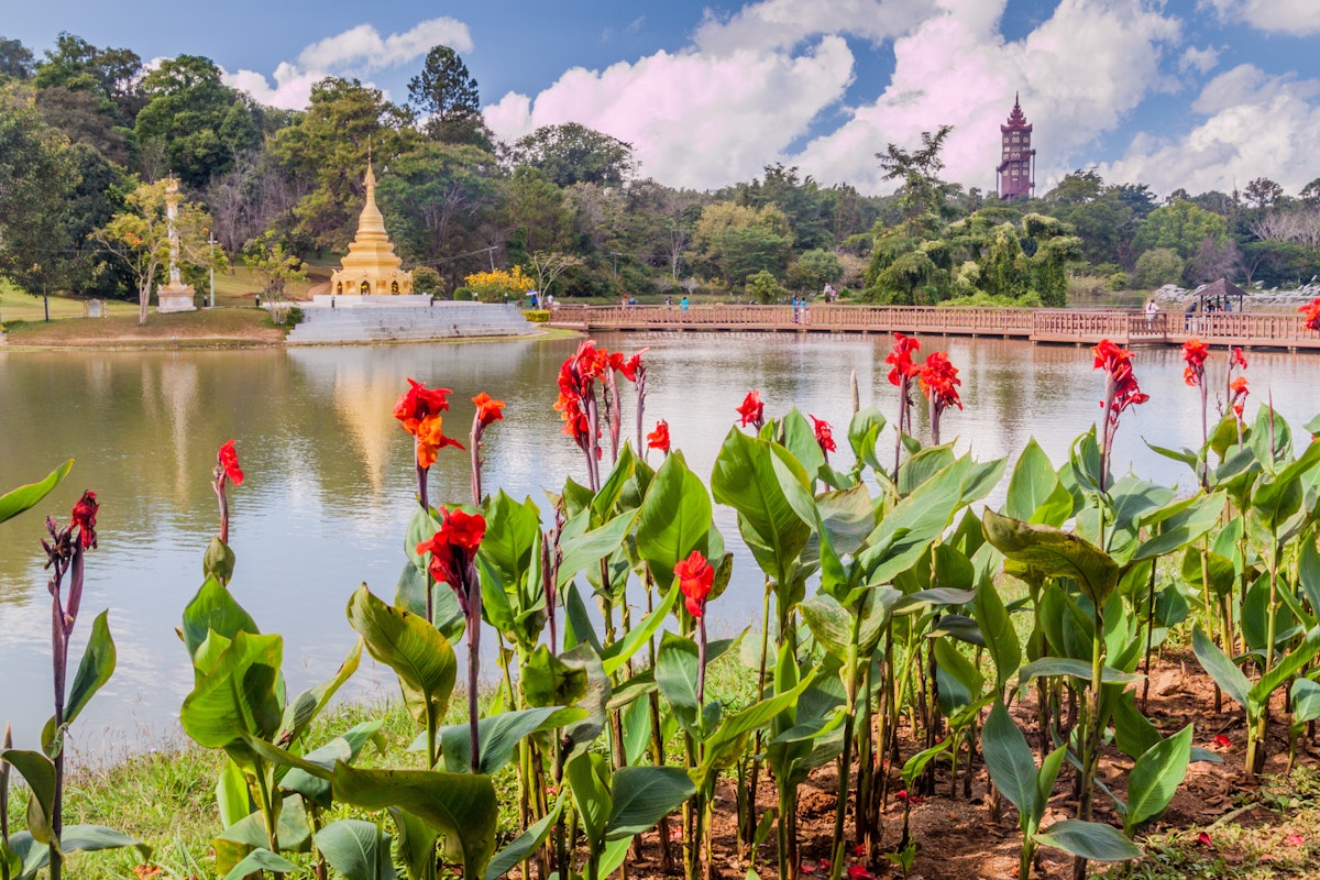 Flowers and a lake in National Kandawgyi Botanical gardens in Pyin Oo Lwin, Myanmar.