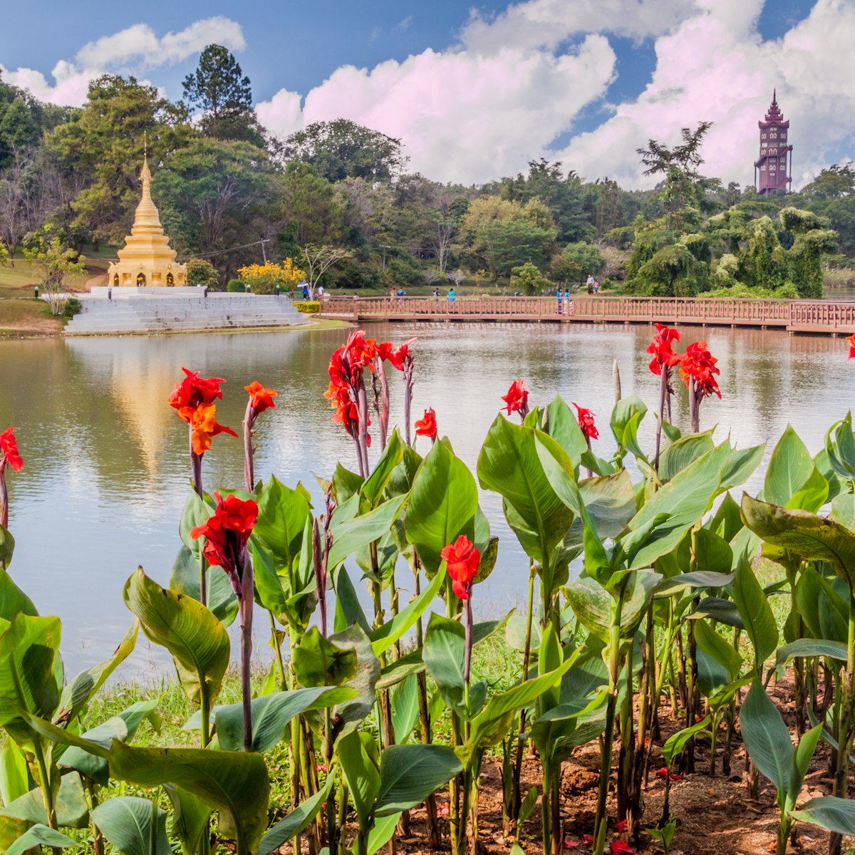 Flowers and a lake in National Kandawgyi Botanical gardens in Pyin Oo Lwin, Myanmar.