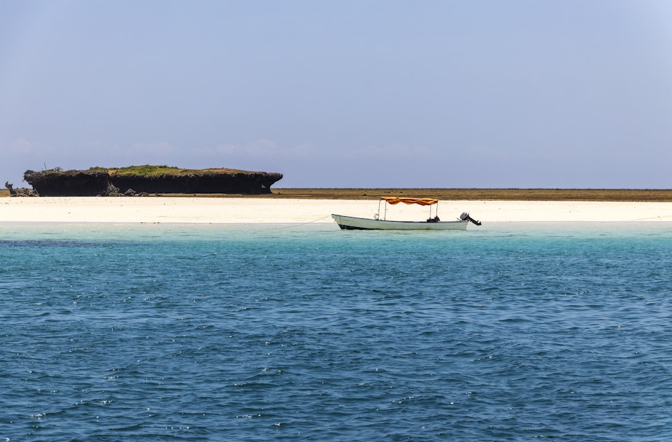 Wasini Island and Kisite-Mpunguti Marine National Park, Kenya.