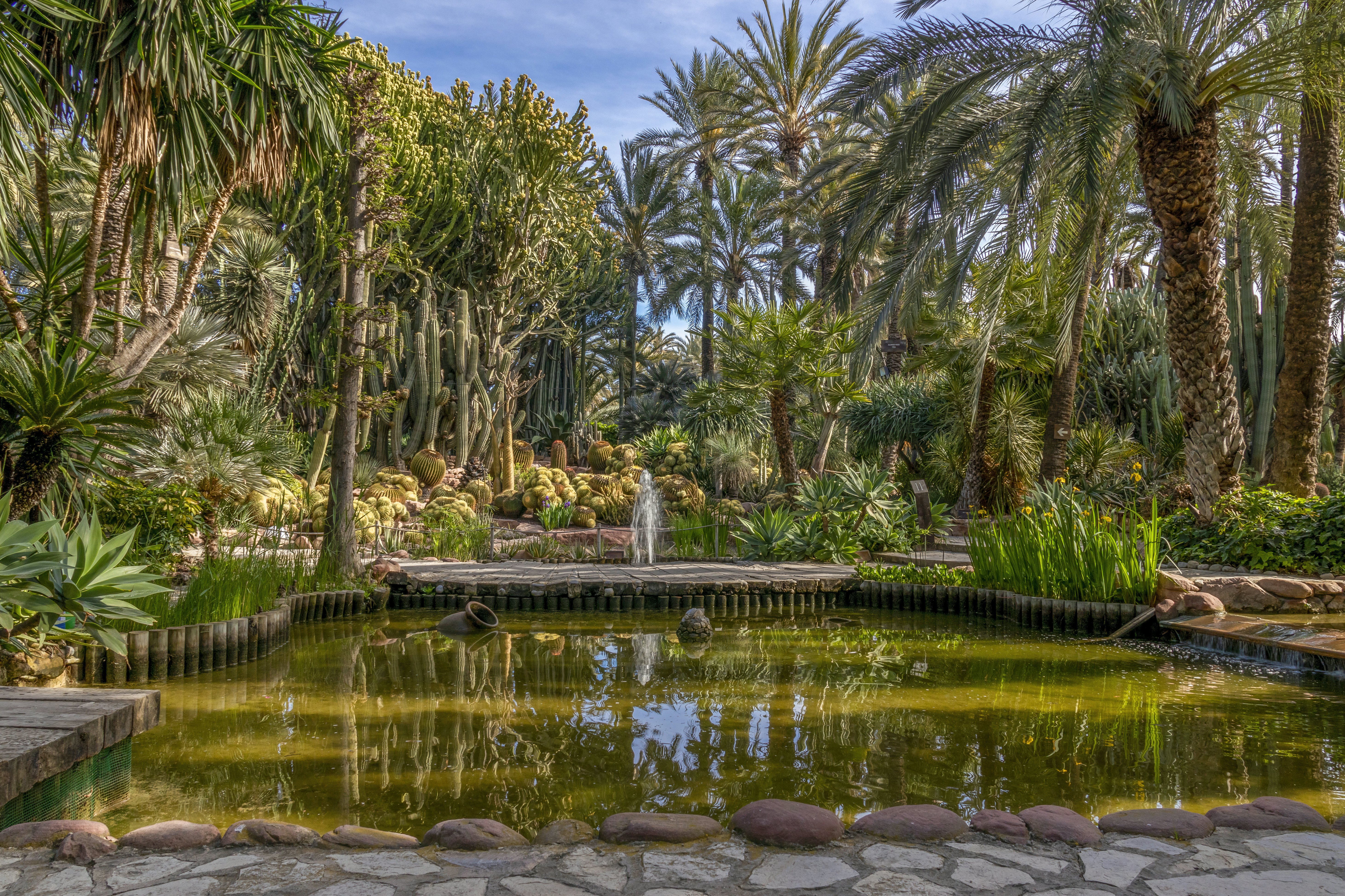 Botanical garden of the huerto del cura in Elche, Alicante, Spain.
