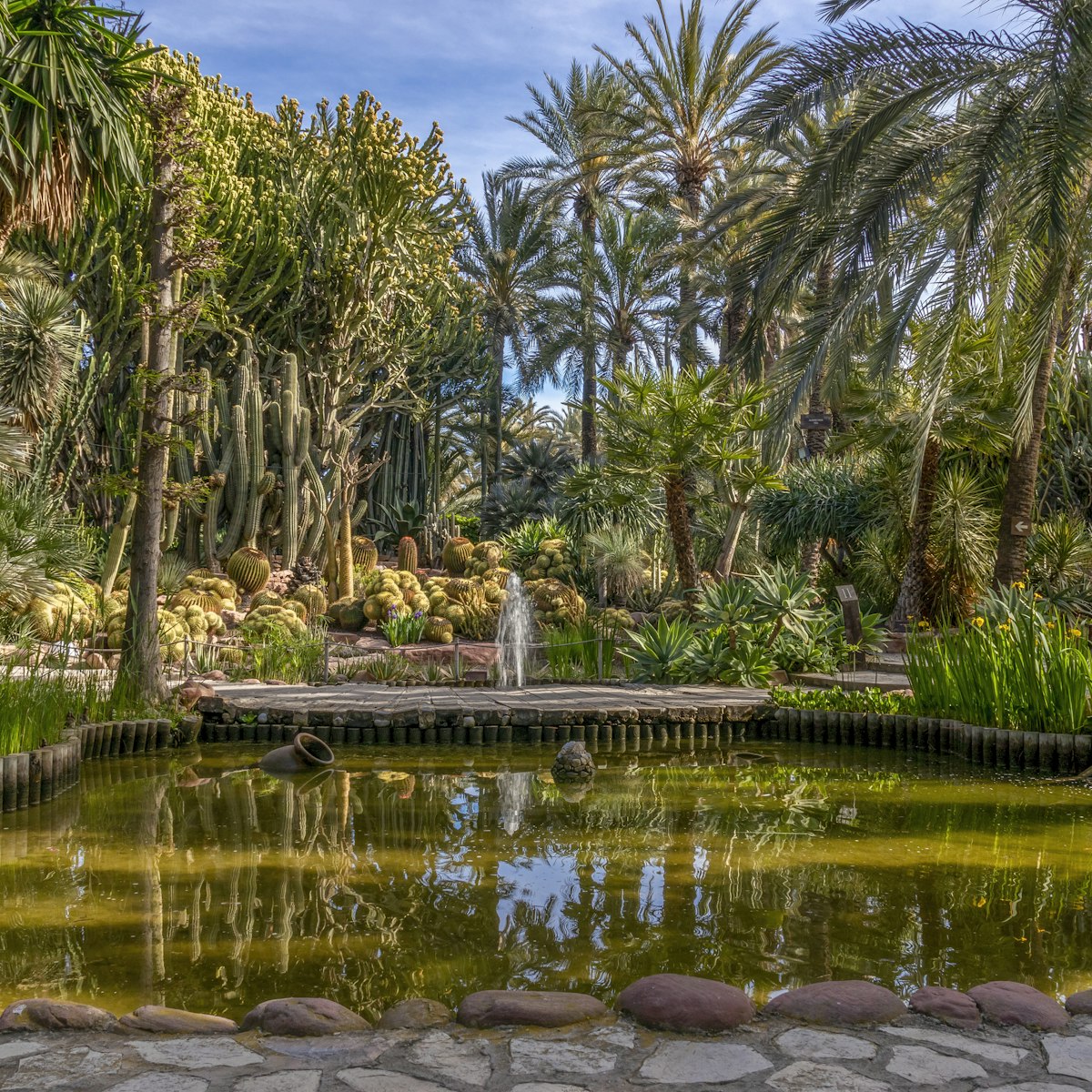 Botanical garden of the huerto del cura in Elche, Alicante, Spain.
