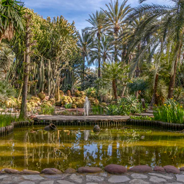 Botanical garden of the huerto del cura in Elche, Alicante, Spain.