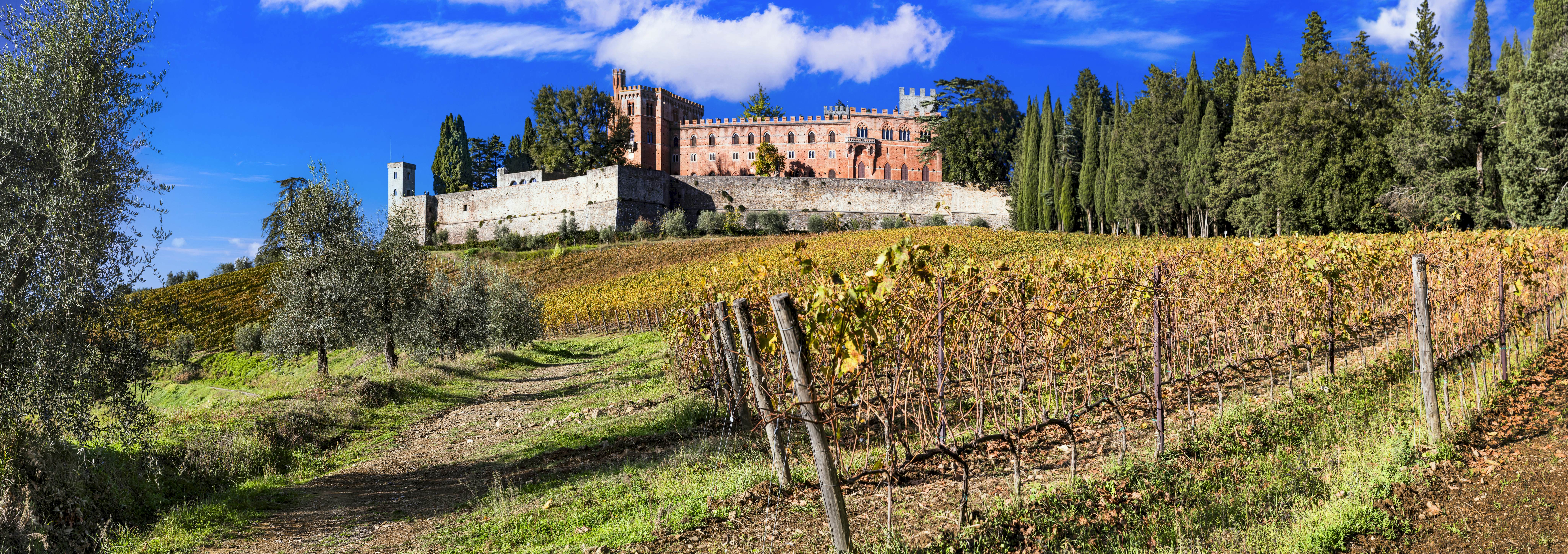 Italy, scenery of Tuscany. panoramic view of beautiful golden autumn vineyards in Chianti region
1441984047
region, agriturism