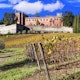 Italy, scenery of Tuscany. panoramic view of beautiful golden autumn vineyards in Chianti region
1441984047
region, agriturism