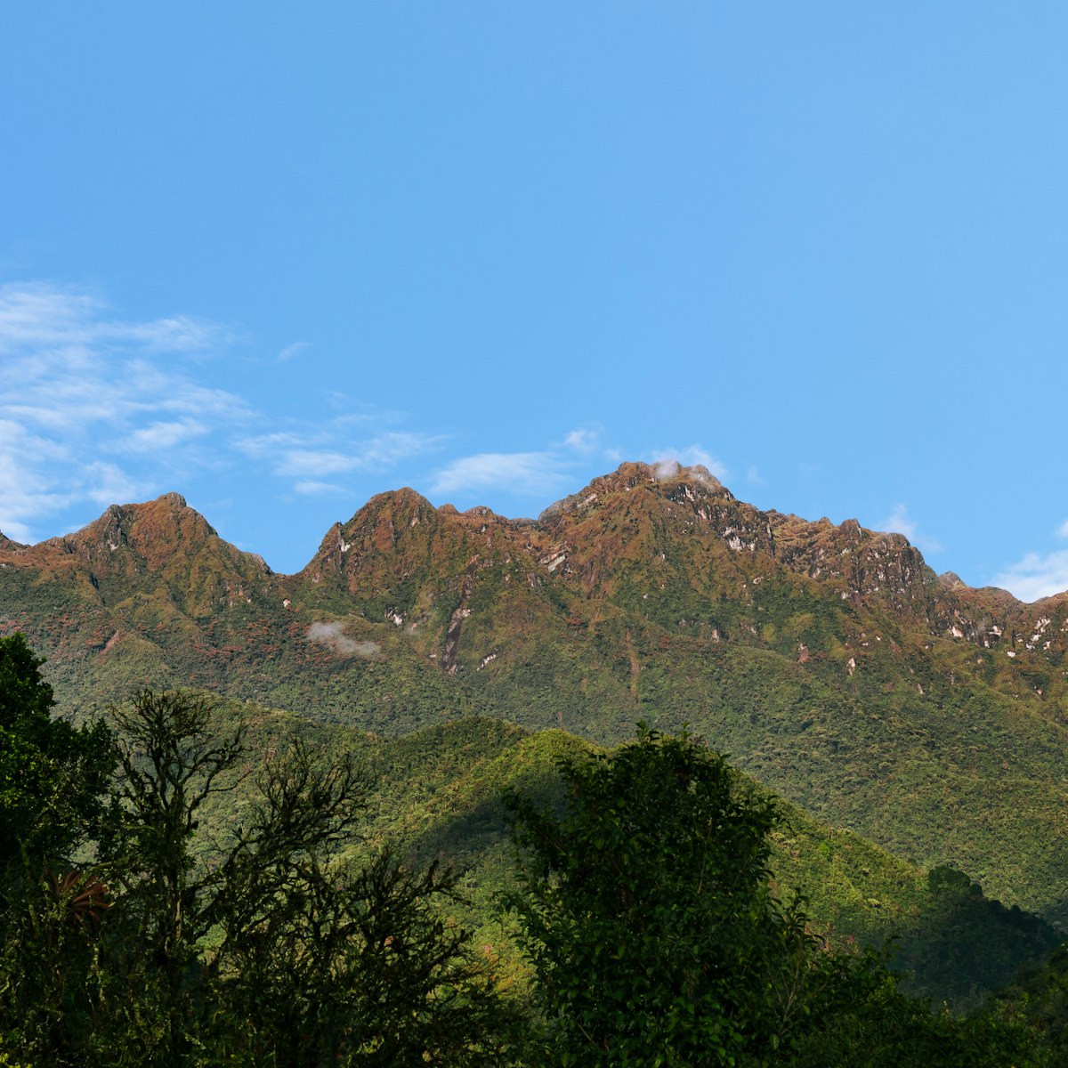 Mountains of the Farallones de Cali National Park, Colombia.
