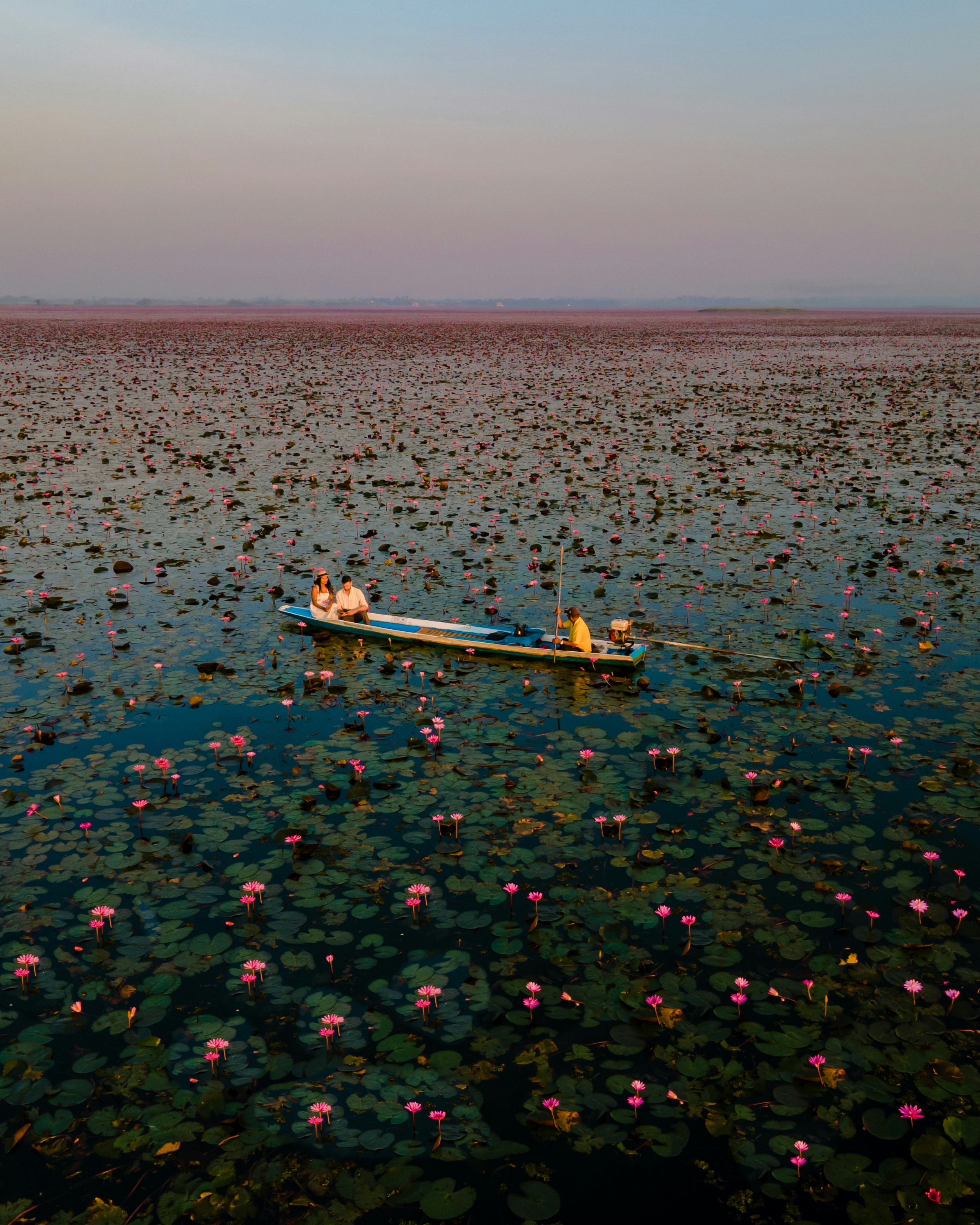 Sunrise at the sea of red lotus, Lake Nong Harn, Udon Thani, Thailand.