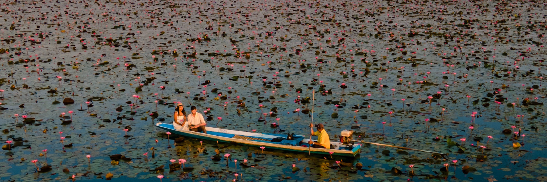 Sunrise at the sea of red lotus, Lake Nong Harn, Udon Thani, Thailand.