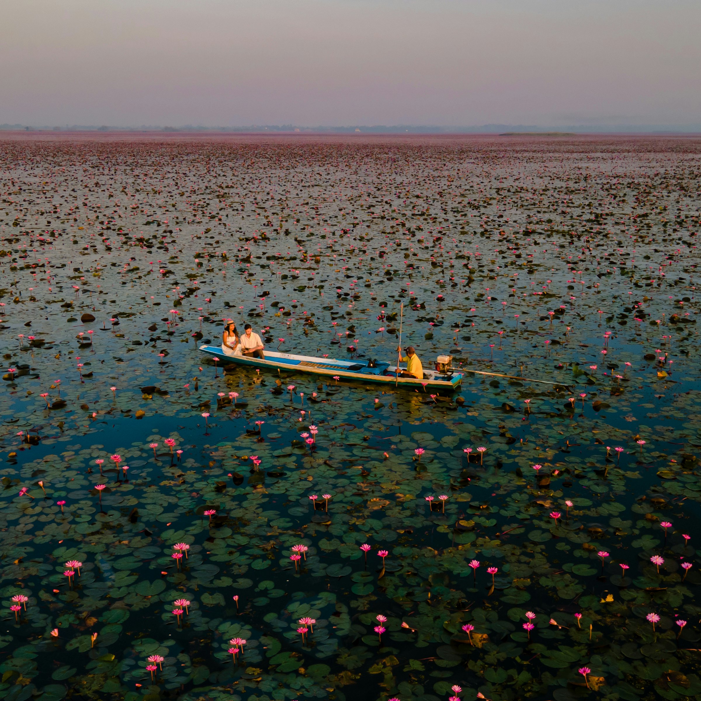 Sunrise at the sea of red lotus, Lake Nong Harn, Udon Thani, Thailand.