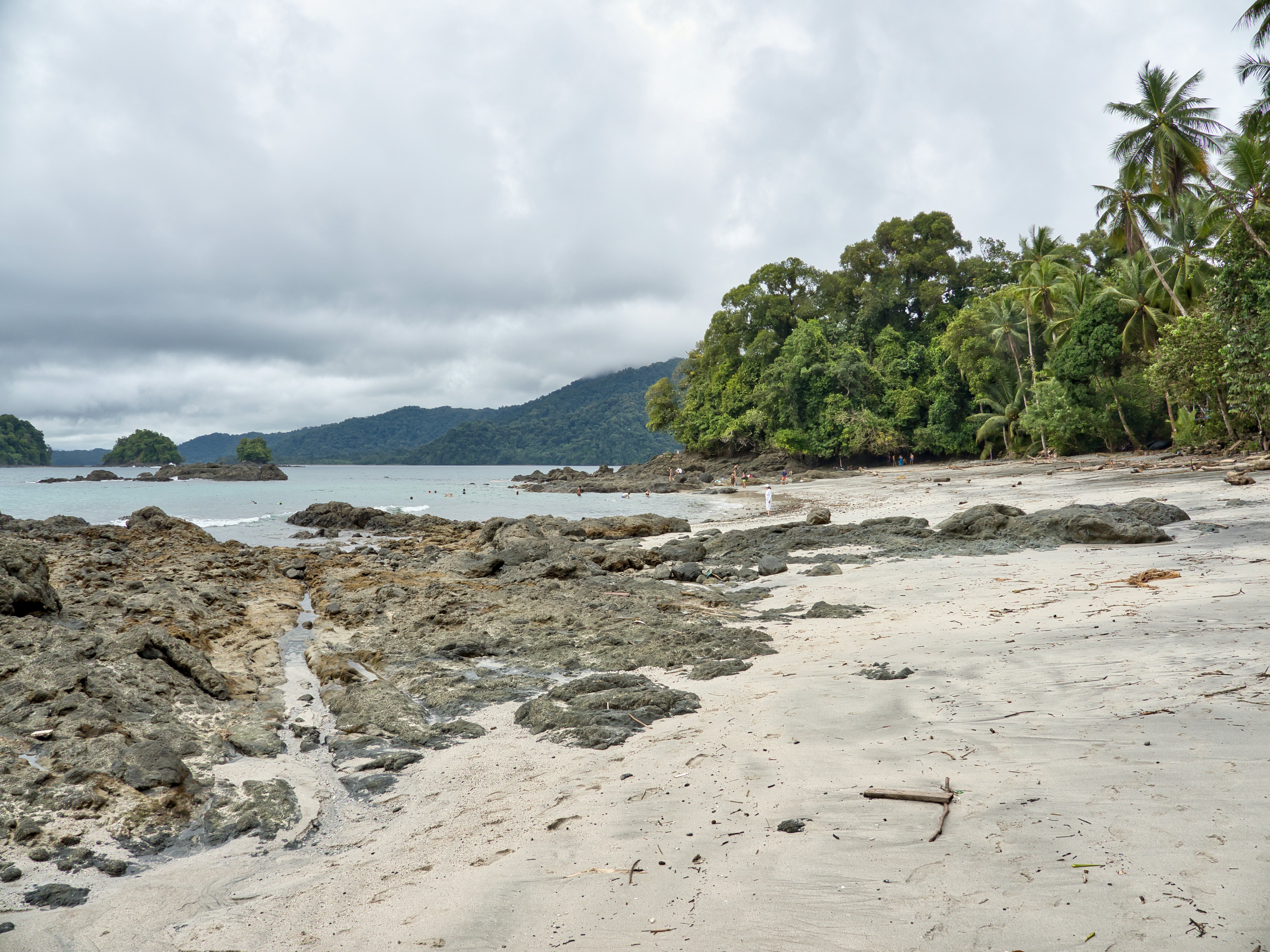 Beach in Utría National Natural Park.