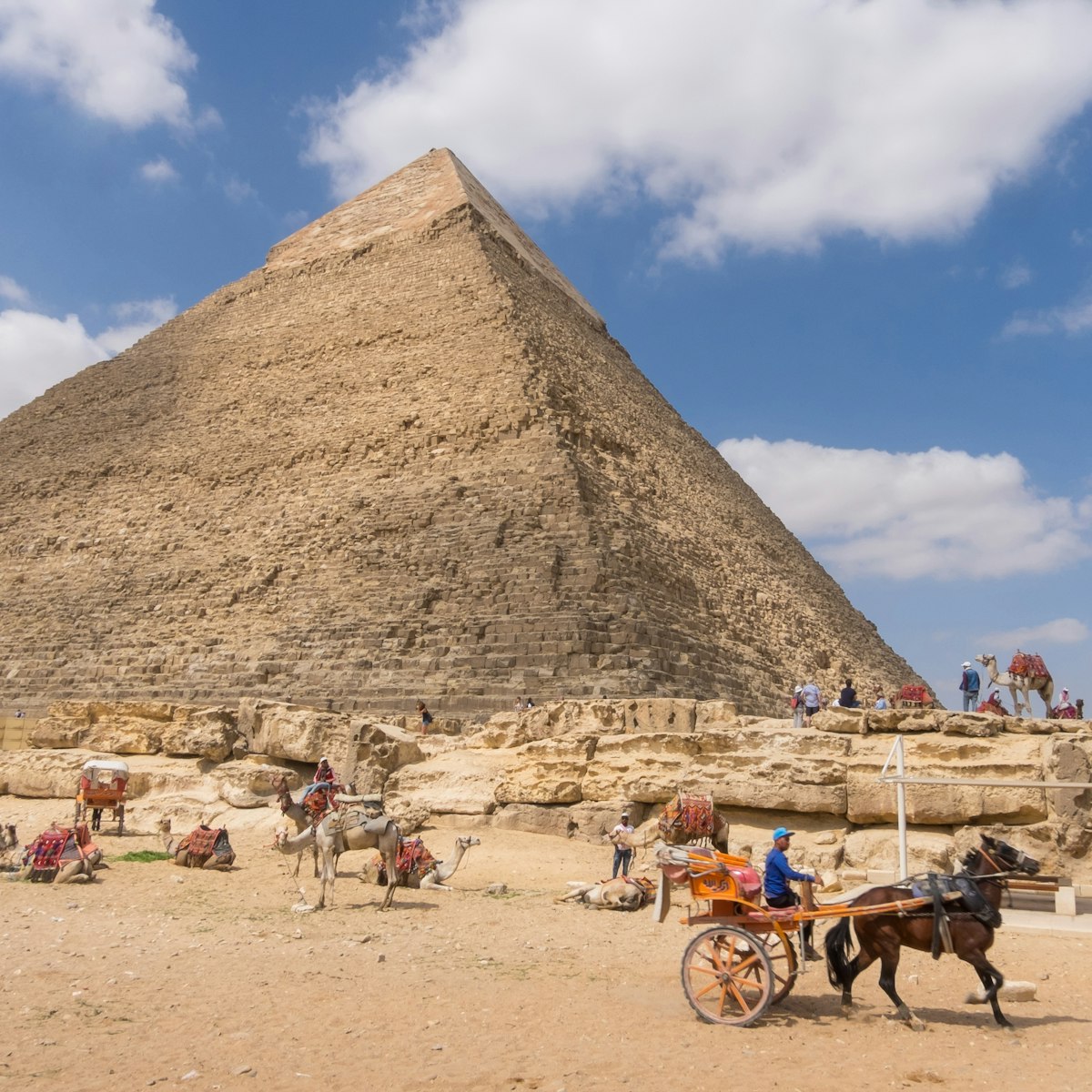 Camels and horse-drawn carriages next to Khafre's pyramid in Giza.