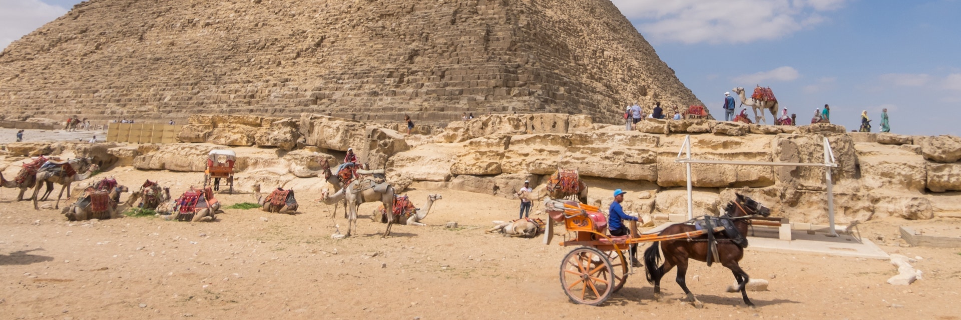 Camels and horse-drawn carriages next to Khafre's pyramid in Giza.