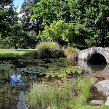 Bridge in Queenstown Gardens.