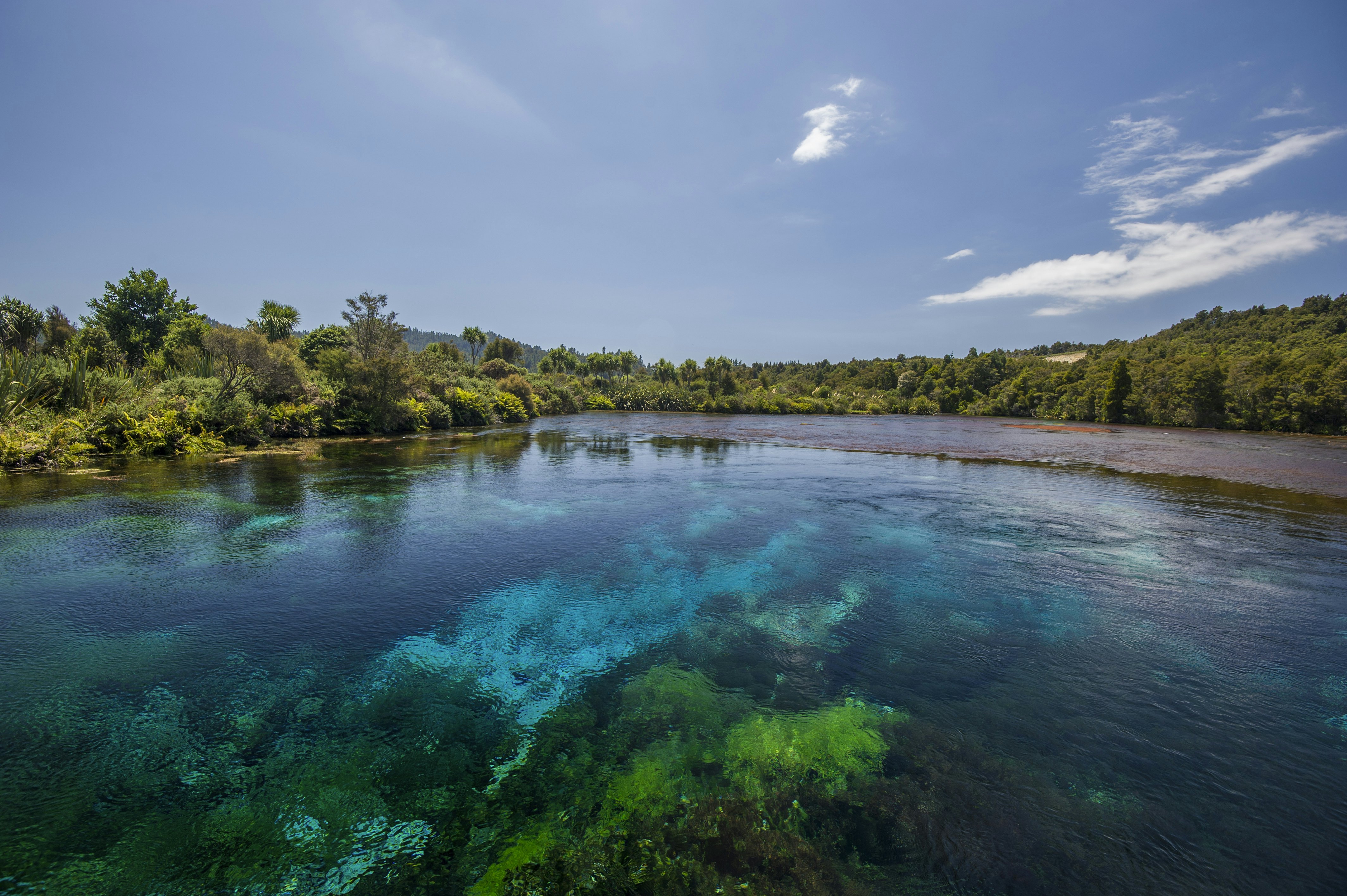 Te Waikoropupu Springs.