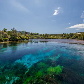 Te Waikoropupu Springs.