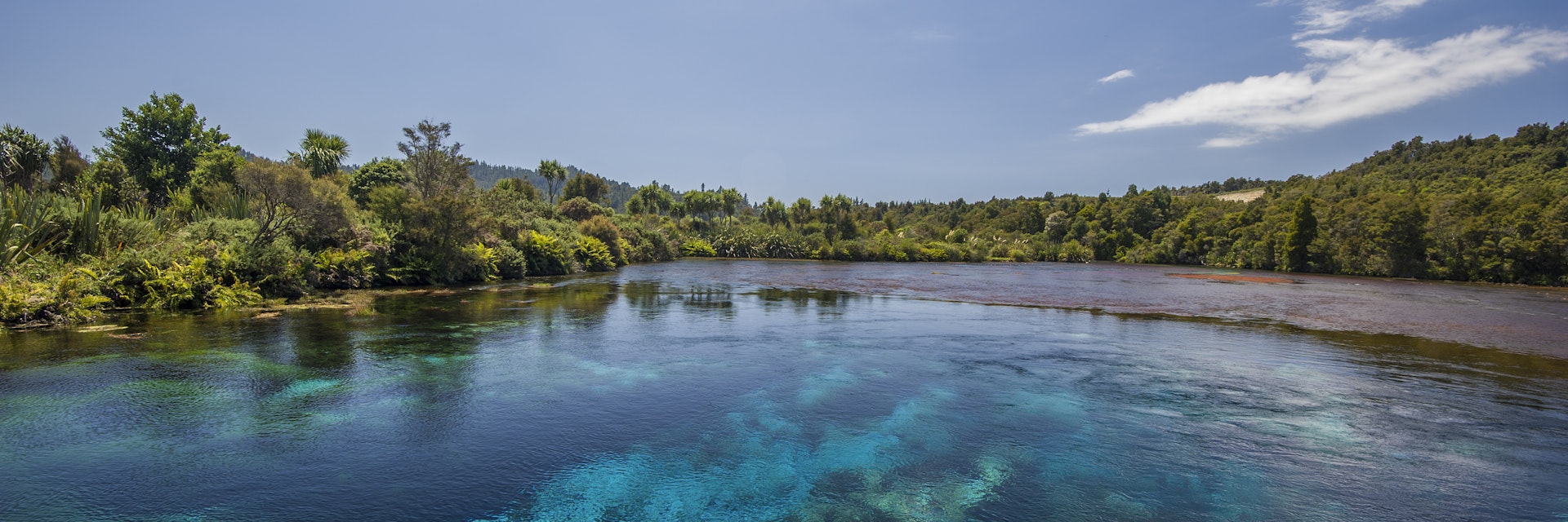 Te Waikoropupu Springs.