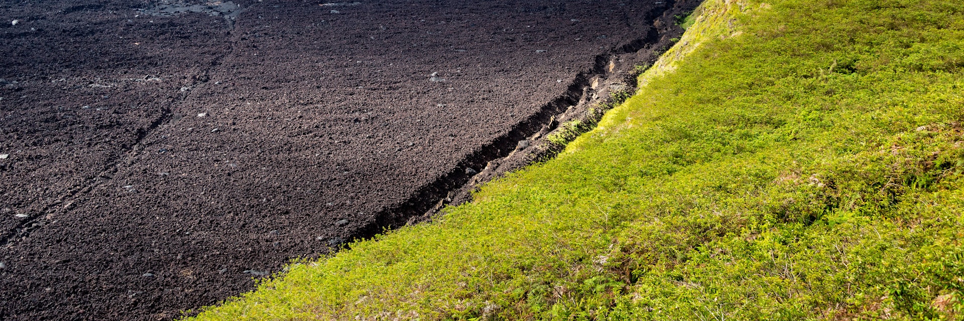 Crater of Sierra Negra Volcano on Isabela Island.
